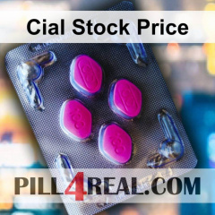 Cial Stock Price 456