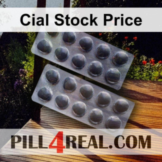 Cial Stock Price 537