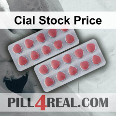 Cial Stock Price 592