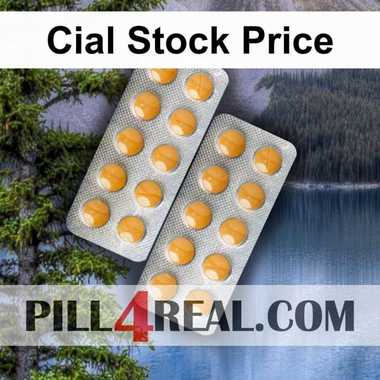 Cial Stock Price 611
