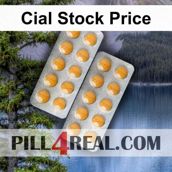 Cial Stock Price 611