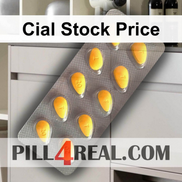 Cial Stock Price 706