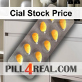 Cial Stock Price 706