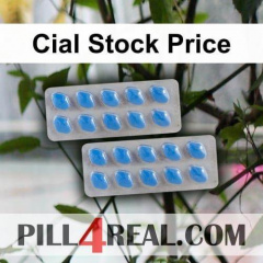 Cial Stock Price 719