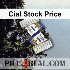 Cial Stock Price 810
