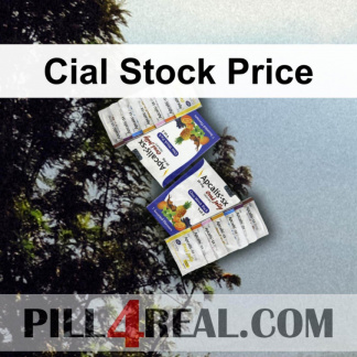 Cial Stock Price 810
