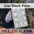 Cial Stock Price 945
