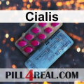 Cialis 591