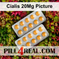 Cialis 20Mg Picture 515