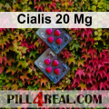 Cialis 20 Mg 553