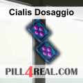 Cialis Dosaggio 187