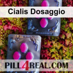 Cialis Dosaggio 806