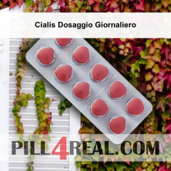 Cialis Dosaggio Giornaliero 425