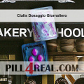 Cialis Dosaggio Giornaliero 619