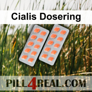 Cialis Dosering 493