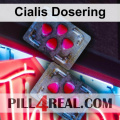 Cialis Dosering 962