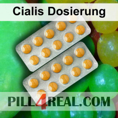Cialis Dosierung 070