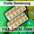 Cialis Dosierung 070
