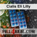 Cialis Eli Lilly 169