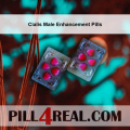Cialis Male Enhancement Pills 365