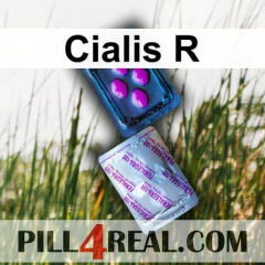 Cialis R 484