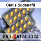 Cialis Sildenafil 302