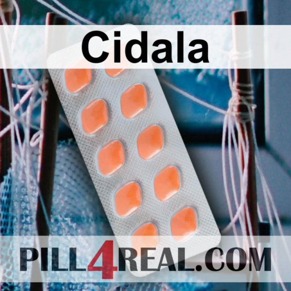 Cidala 073
