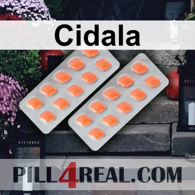 Cidala 105