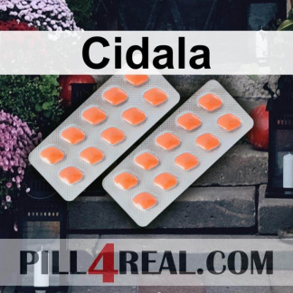 Cidala 105