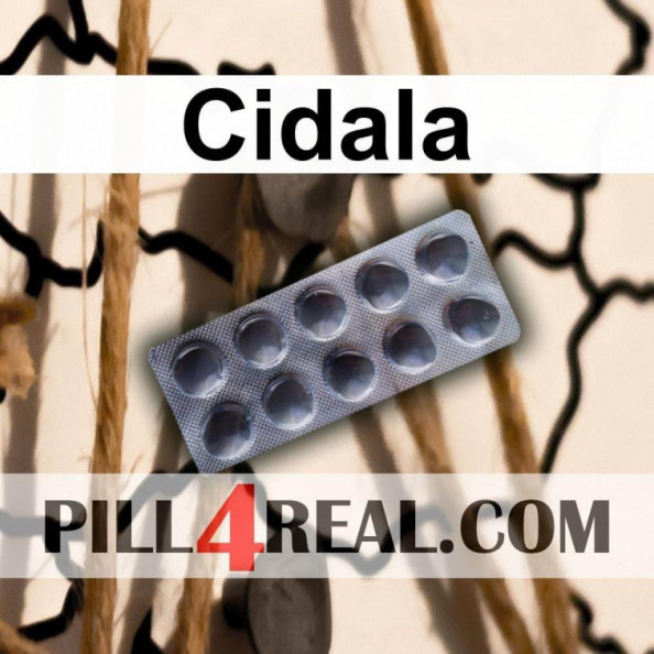 Cidala 125