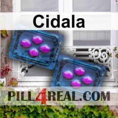 Cidala 134