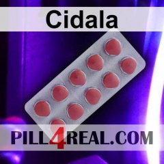 Cidala 144