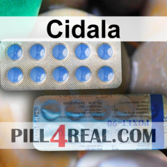 Cidala 145