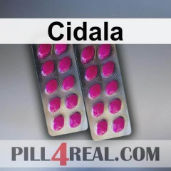 Cidala 307