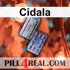 Cidala 313