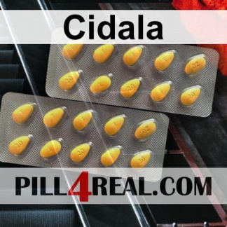 Cidala 331