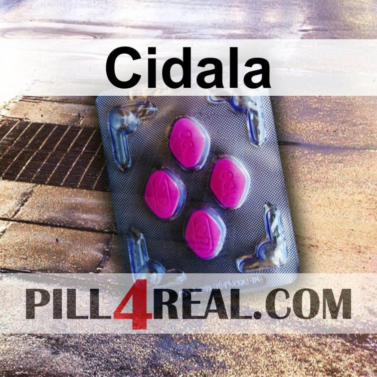Cidala 391