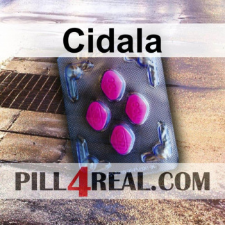 Cidala 391