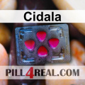 Cidala 496