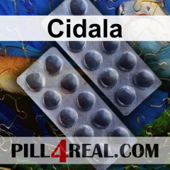 Cidala 521