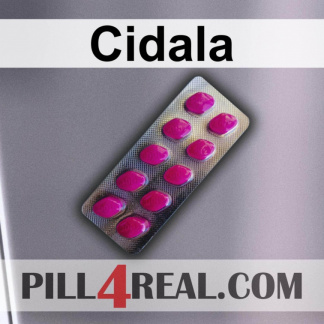 Cidala 586