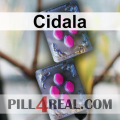 Cidala 594