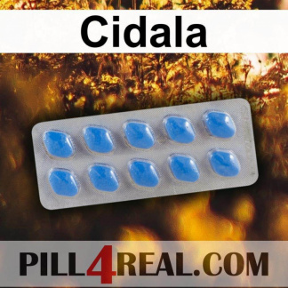Cidala 669