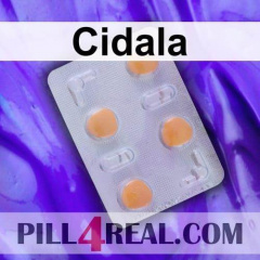 Cidala 747