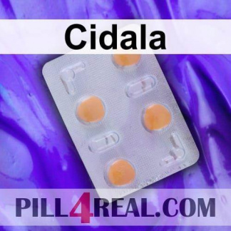 Cidala 747