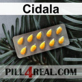 Cidala 787