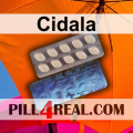 Cidala 799