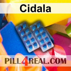 Cidala 899