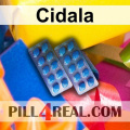 Cidala 899