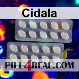 Cidala 913